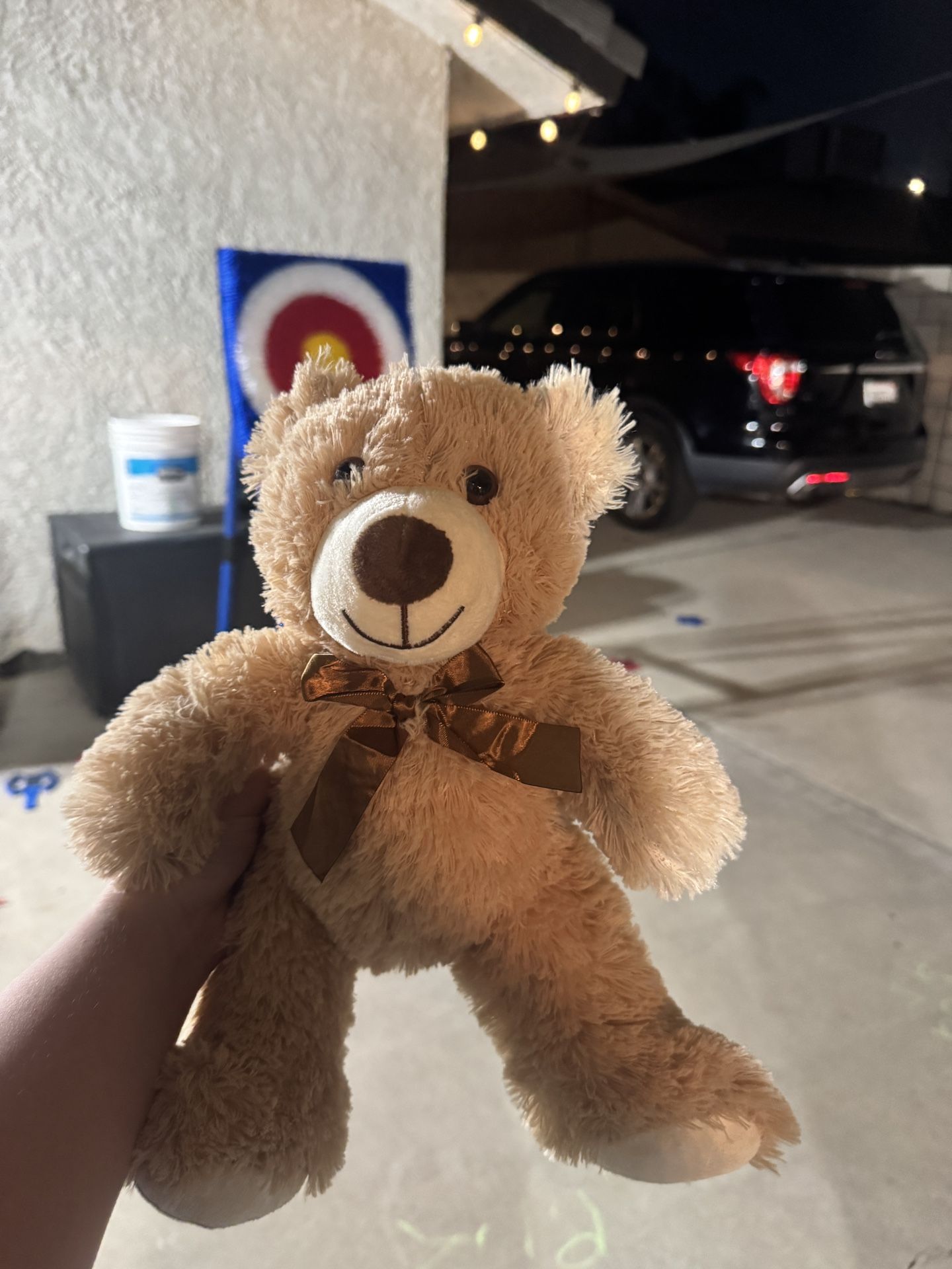 Teddy Bear