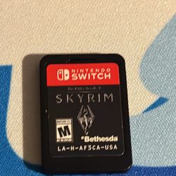 Skyrim Nintendo Game