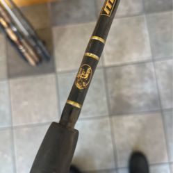Bass Pro Baitcaster Fishing Rod