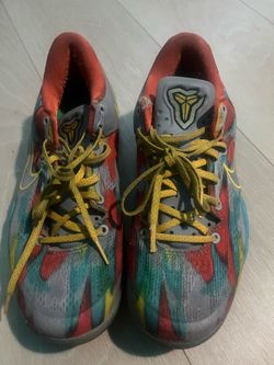 kobe 8 venice beach