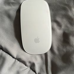 Apple Mouse $10 