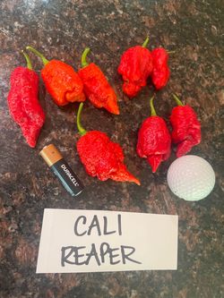 Fresh SuperHot Peppers $2
