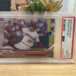 Shohei Ohtani 
