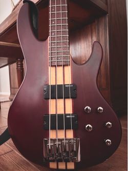 ESP LTD D-4