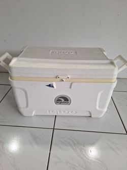 Igloo cooler  24× 15×14