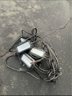 Husky string lights