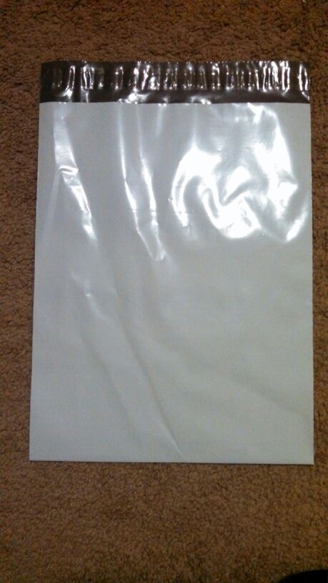 Poly bag 16x12 100 pc shipping envelope