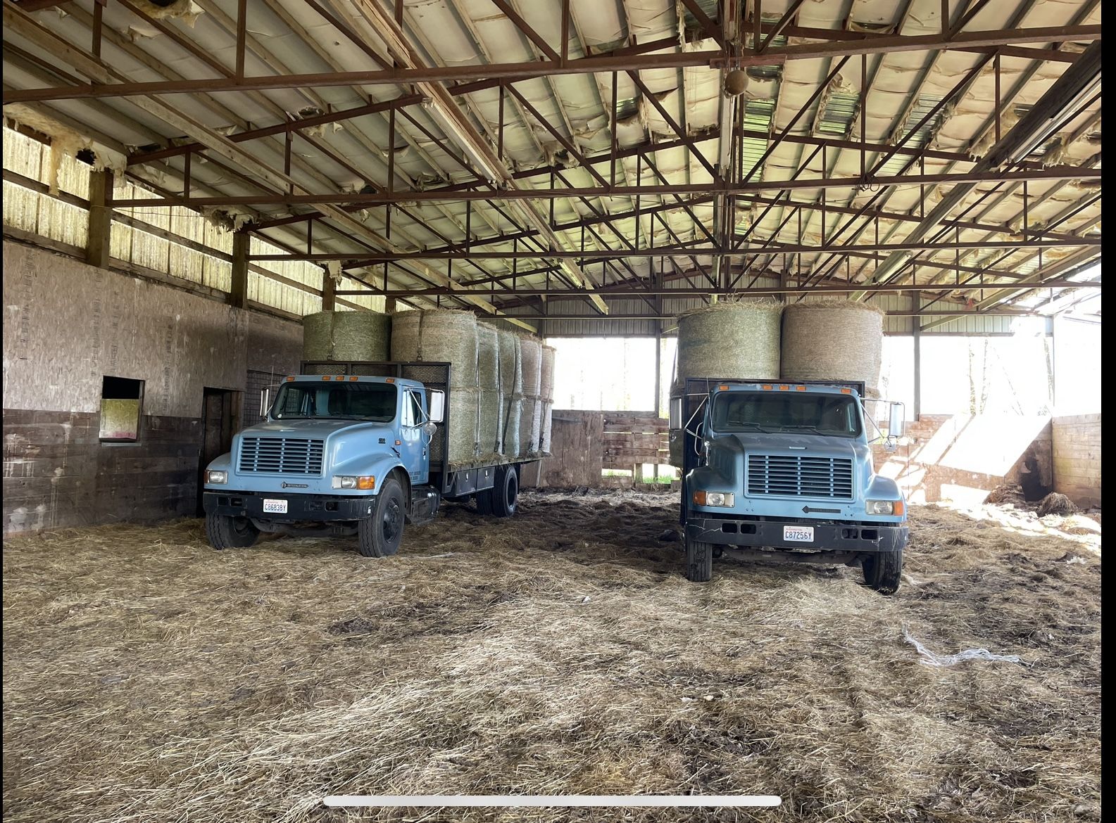 20 Round Bales Delivered