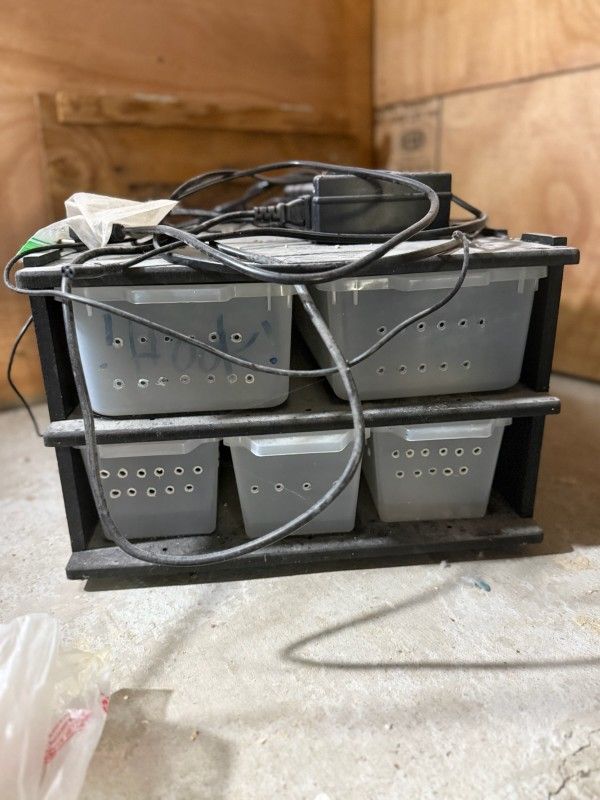 Reptile Rack System
