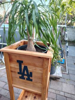CUSTOM TALL CEDAR L.A. 2 TIER PLANTER