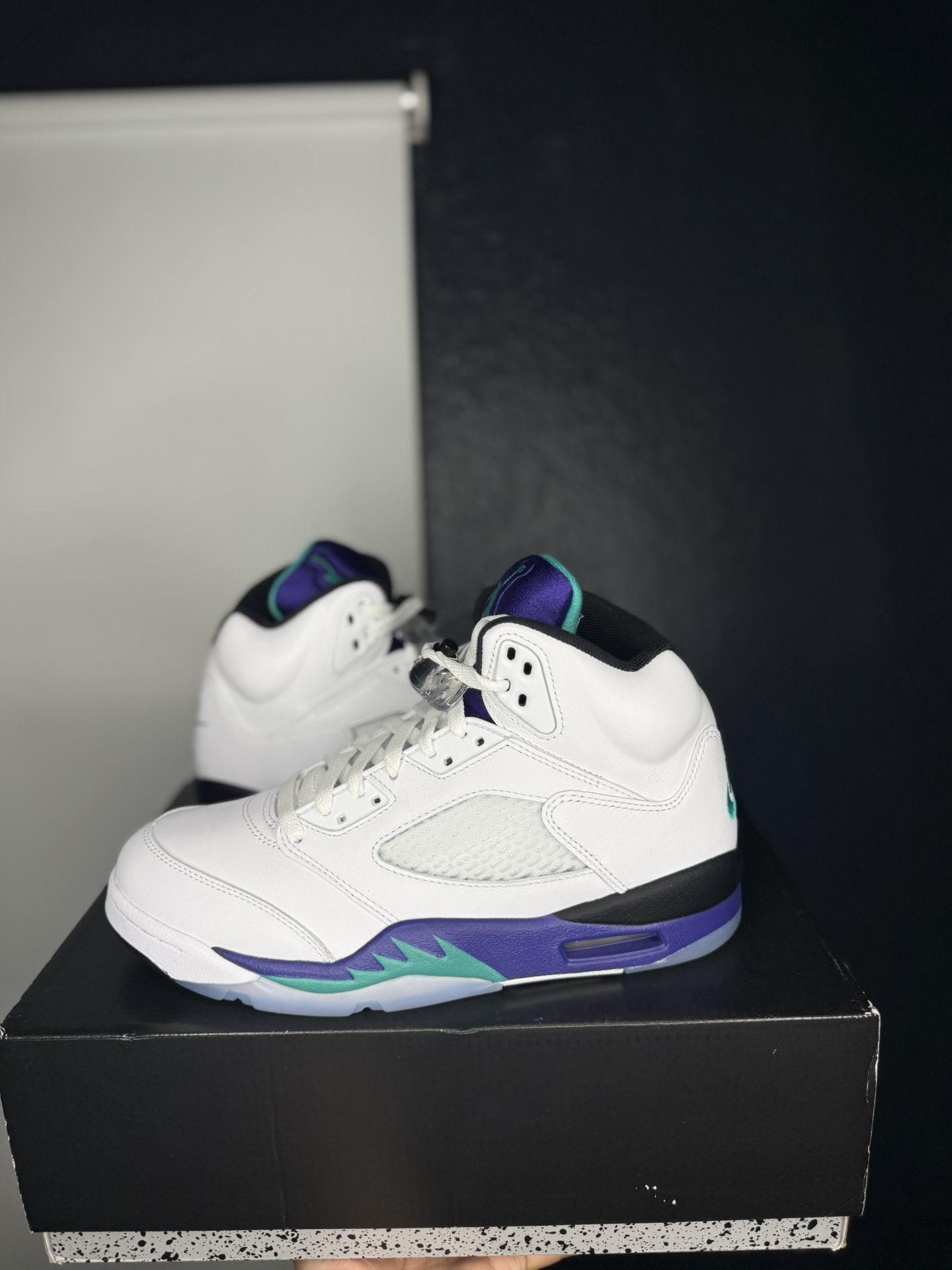 Brand New DeadStock Jordan 5 \