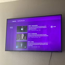 65 Inch Roku Tv 