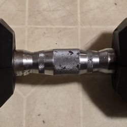 20 LB Dumbell