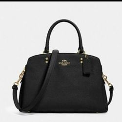 COACH Lillie Carry All Bag