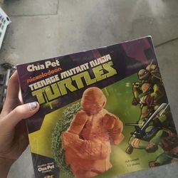 Chia Pet