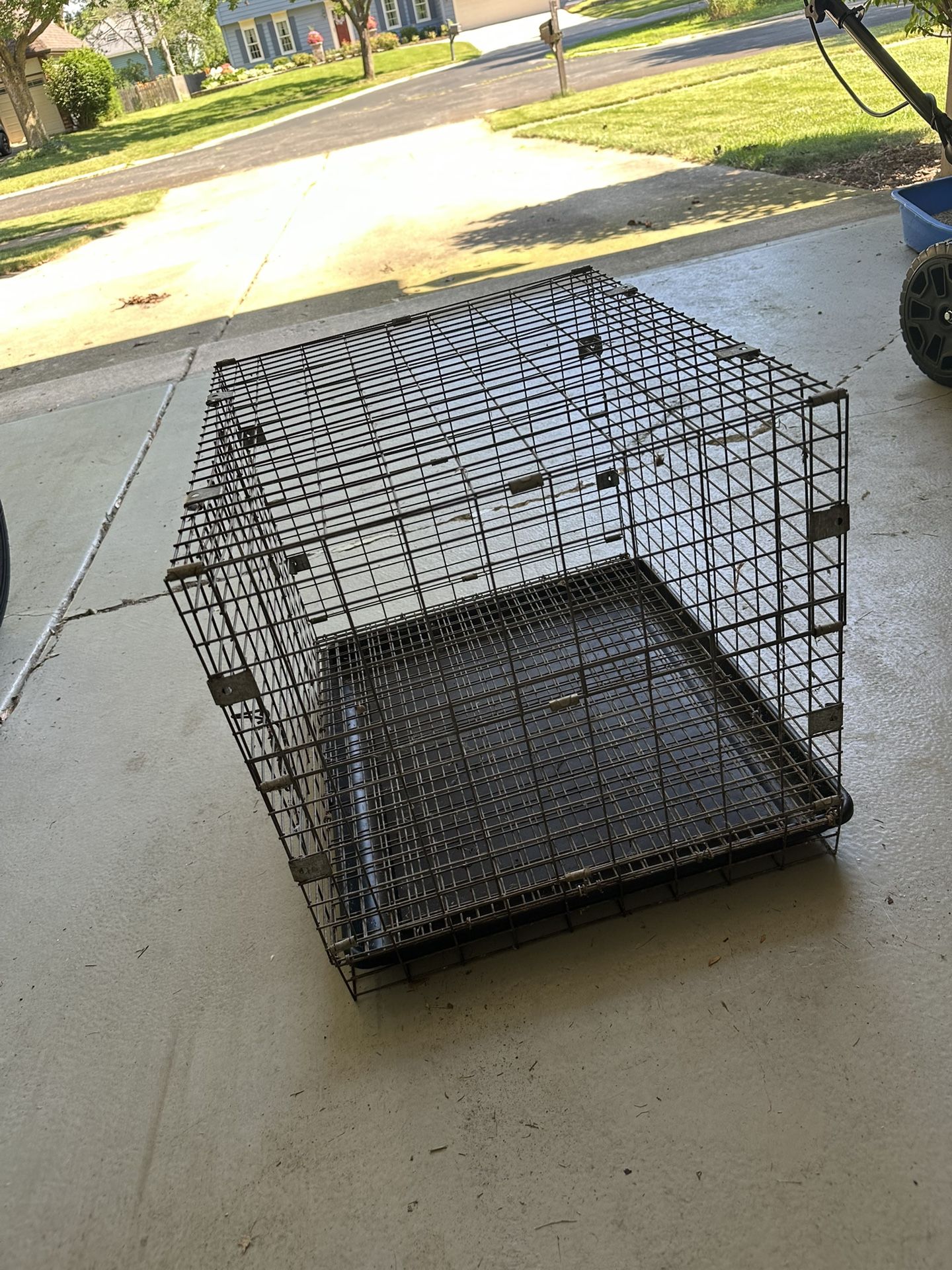 Rabbits Cage