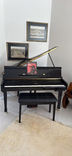 Suzuki digital mini grand piano