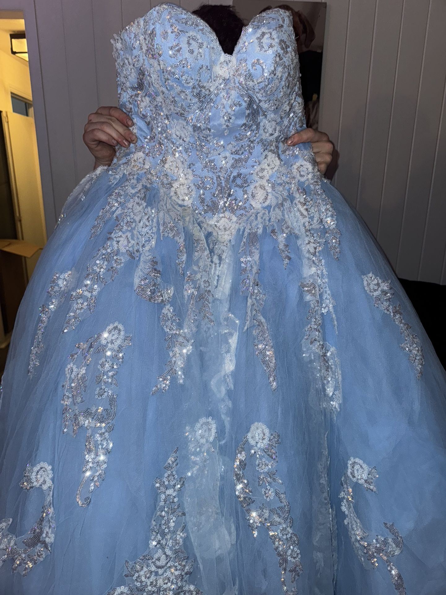 Quinceañera dress