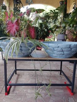 Cement Pots Set of 2