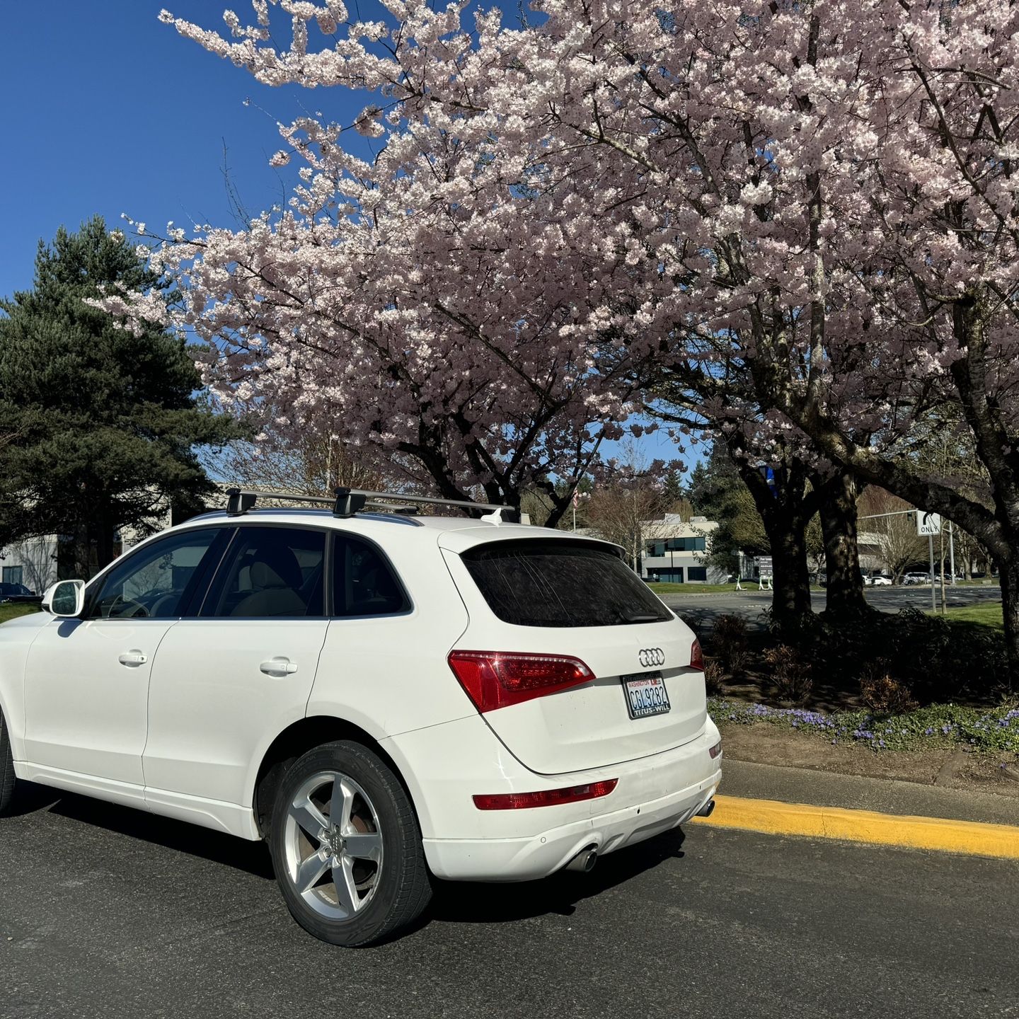 2011 Audi Q5