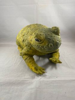 Giant 10 inch Toad Halloween prop