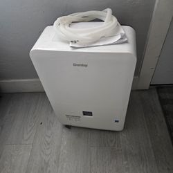 Danby 30-pint dehumidifier (model DDR030BJWDB-ME). 