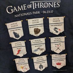 Washington Nationals Game of Thrones Fruit of The Loom HD Cotton Shirt Large