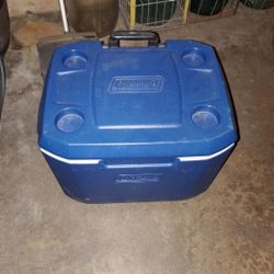Ice chest with rollers