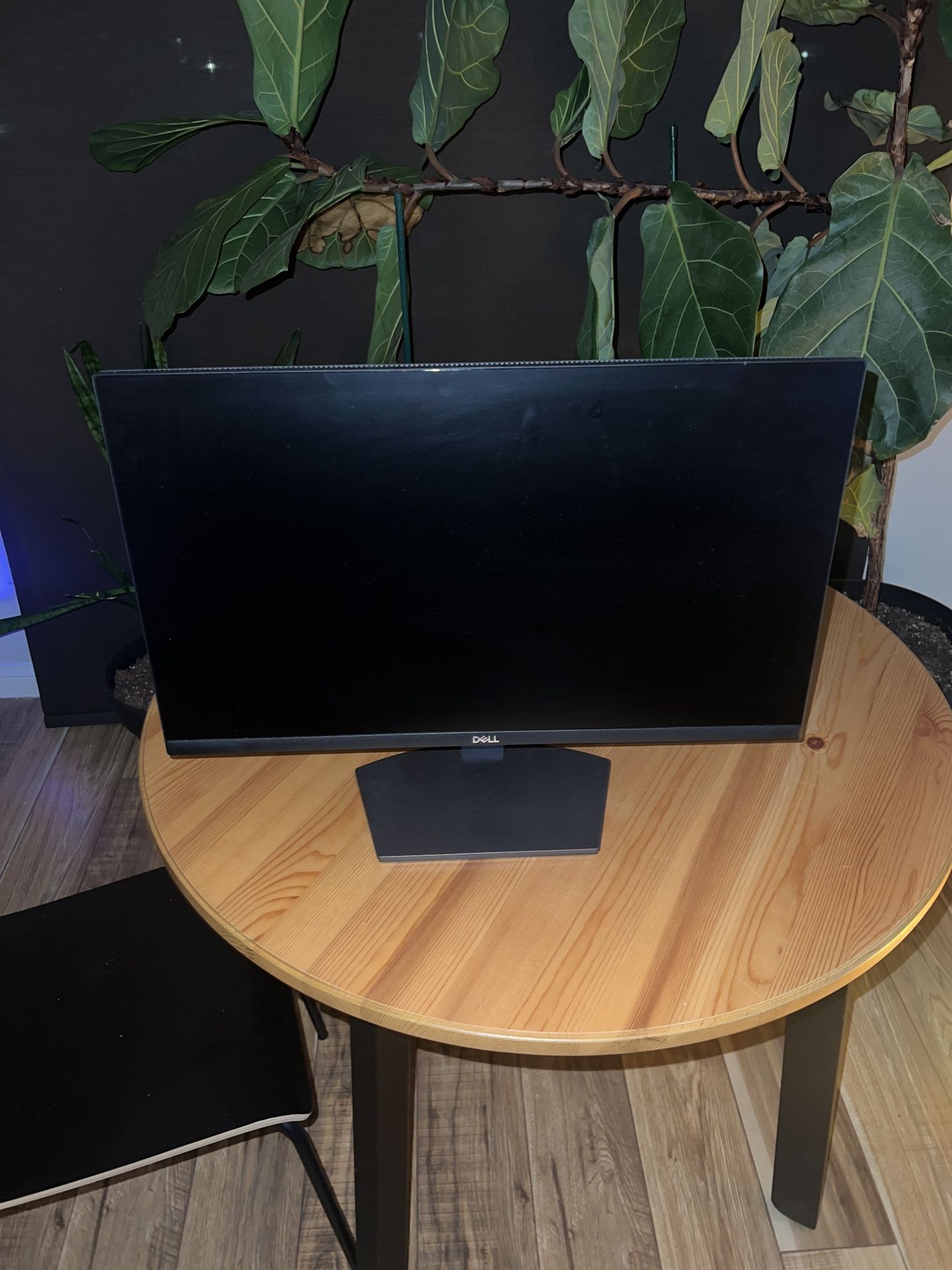 Dell Monitor