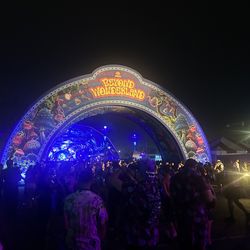 Beyond Wonderland 2026 Wristband