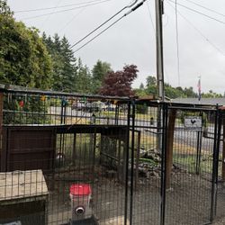 10 By 20 Dog Run.