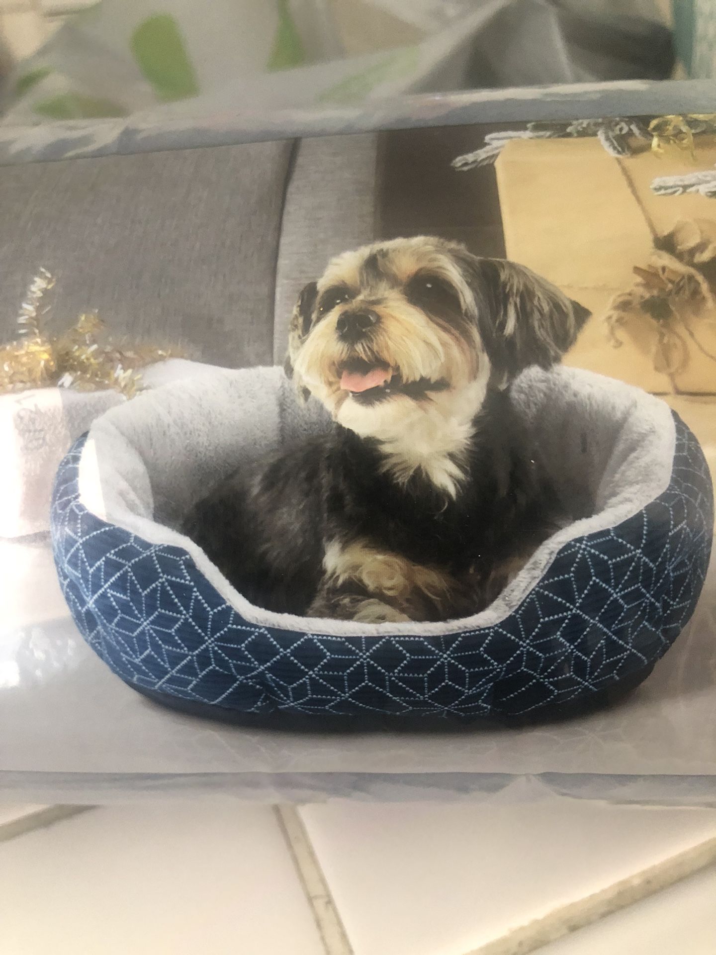 Dog Bed *Brand New