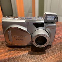 Olympus D-550 Zoom Digital Camera  (c) 