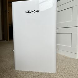 EUHOMY Air purifier and Fan 
