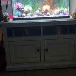 Fish tank and table all complete 