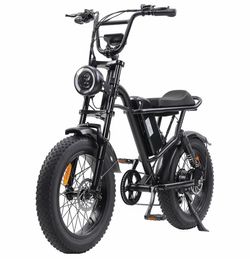 20 inch fat tire electric bicycle 28MPH with large LCD