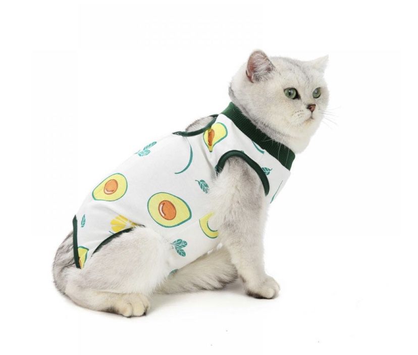 TORJOY Cat Professional Surgical Recovery Suit,E-Collar Alternative for Cats Dogs,After Surgery Wear, Pajama Suit,Home Indoor Pets Clothing (L (8.5-11