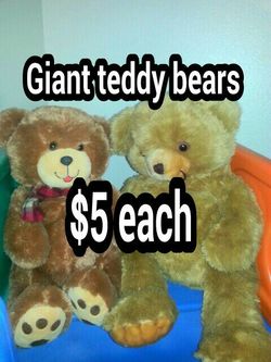 Giant teddy bears