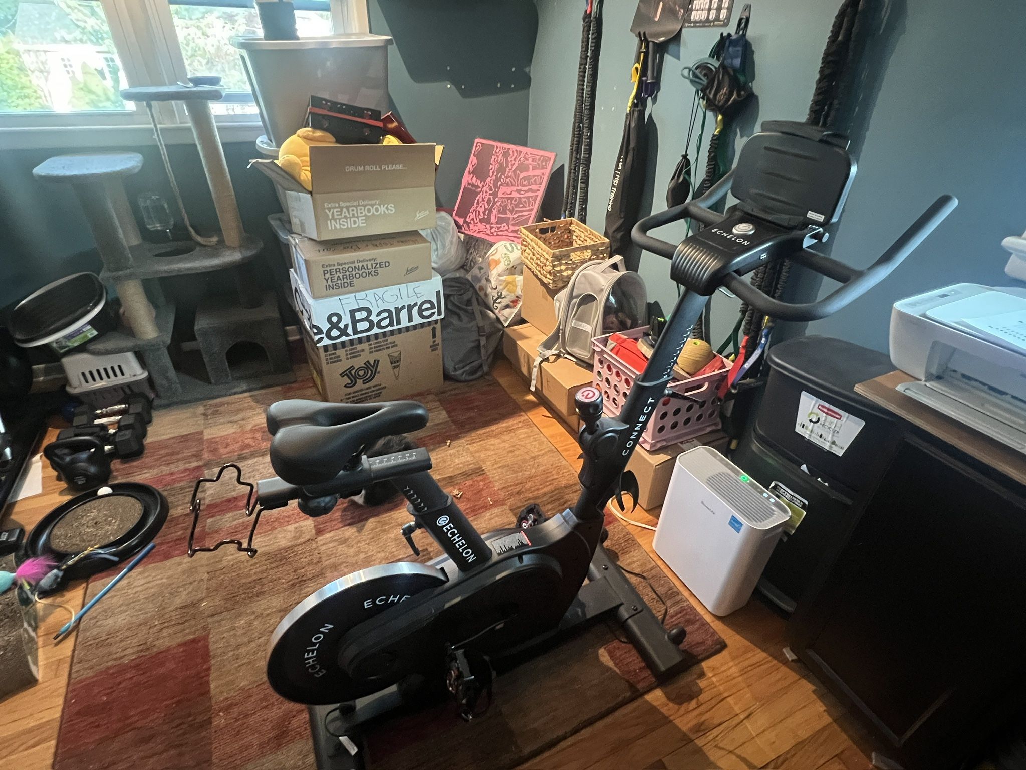 Echelon Spin Bike