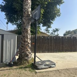 Basketball Hoop