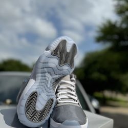 Jordan 11 “Cool Gray”