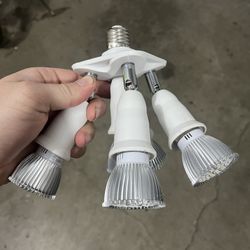 Grow Bulb Socket 