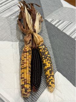 Indian Corn,  7” Multicolored Length