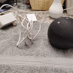 Echo Dot