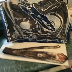Harley Davidson collectibles including Ralph Marlin neck tie and Harley Davidson vintage bandana  Milwaukee Wisconsin Both one price