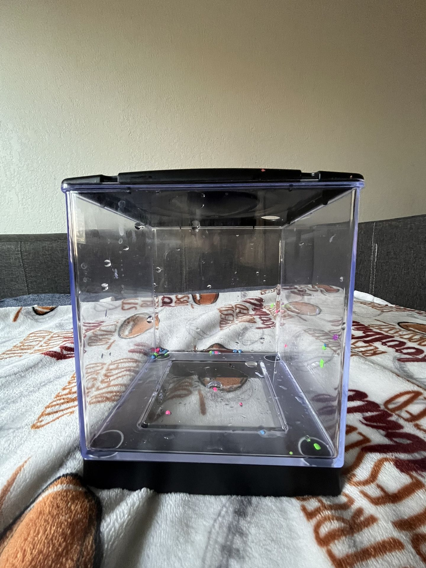 1 Gallon Fish Tank