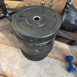 250lbs rogue Olympic Bumper Plate Set