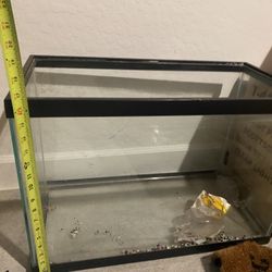 Fish Tank