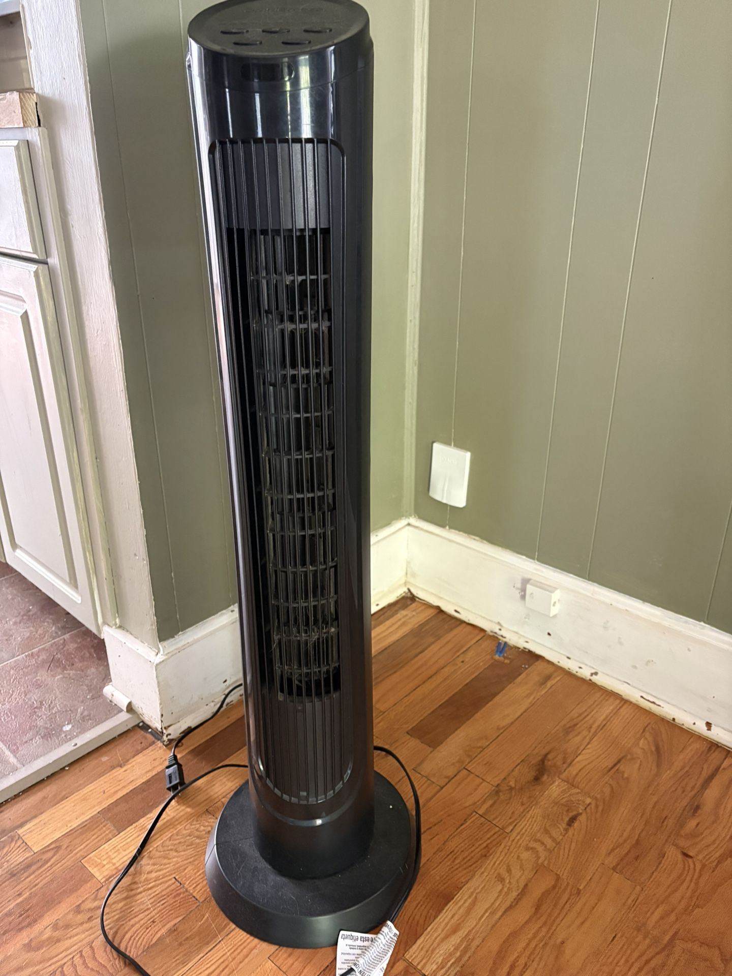 Fan
