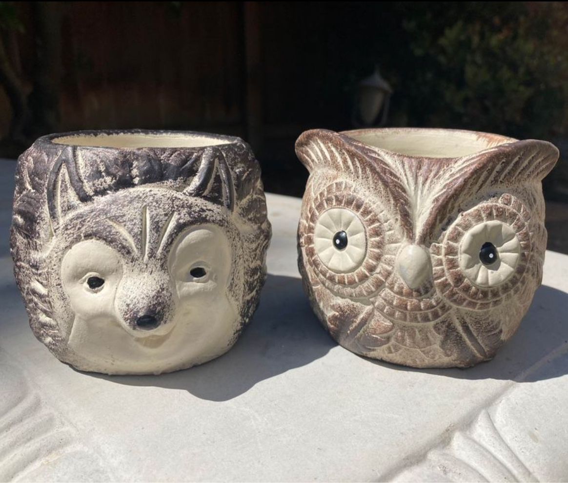 Set of 2 Cute Happy Owl and Hedgehog Small Plant Pot Succulent Heavy Cement Planters